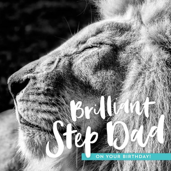 Sleeping Lion Brilliant Step Dad photographic Birthday Card