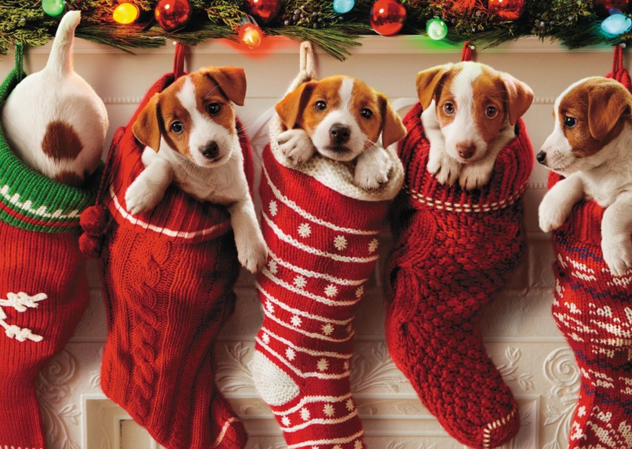 Moonpig Puppies In Stockings Christmas Card, Large