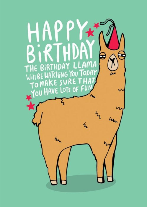 Illustrated Llama Happy Birthday Card