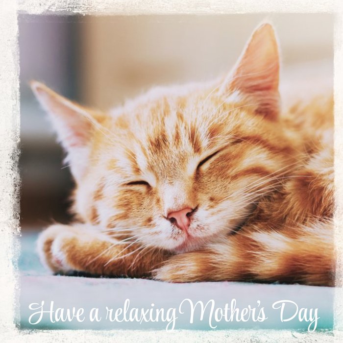 Sleeping Cat Have A Relaxing Mother's Day Card