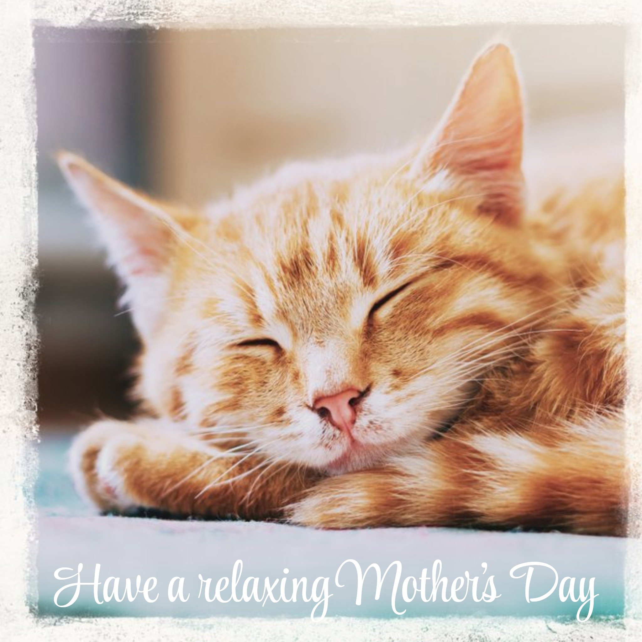 Sleeping Cat Have A Relaxing Mother's Day Card, Square