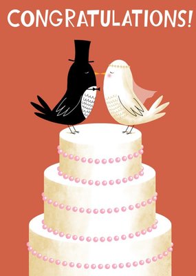 Greetings From Cooperville Illustrated Birds Wedding Congratulations Card