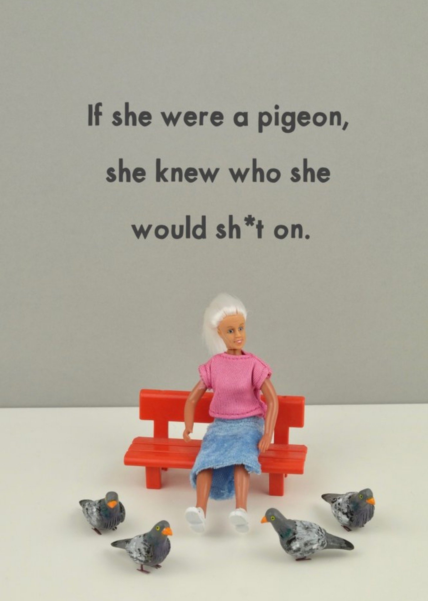 Bold And Bright Funny Photographic Female Figurine And Pigeon Rude Humour Card, Large