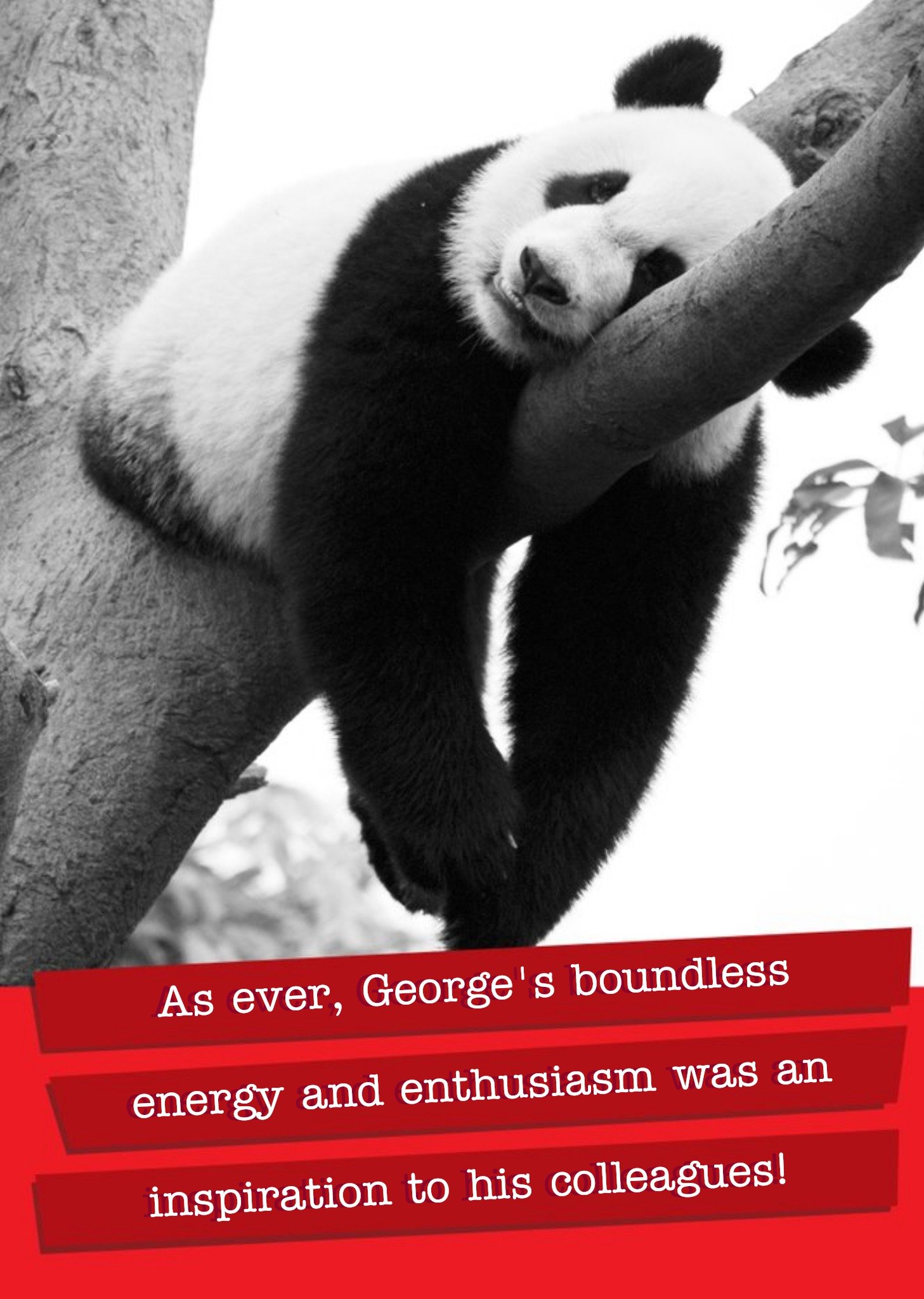 Moonpig Funny Panda Personalised Name Card, Large