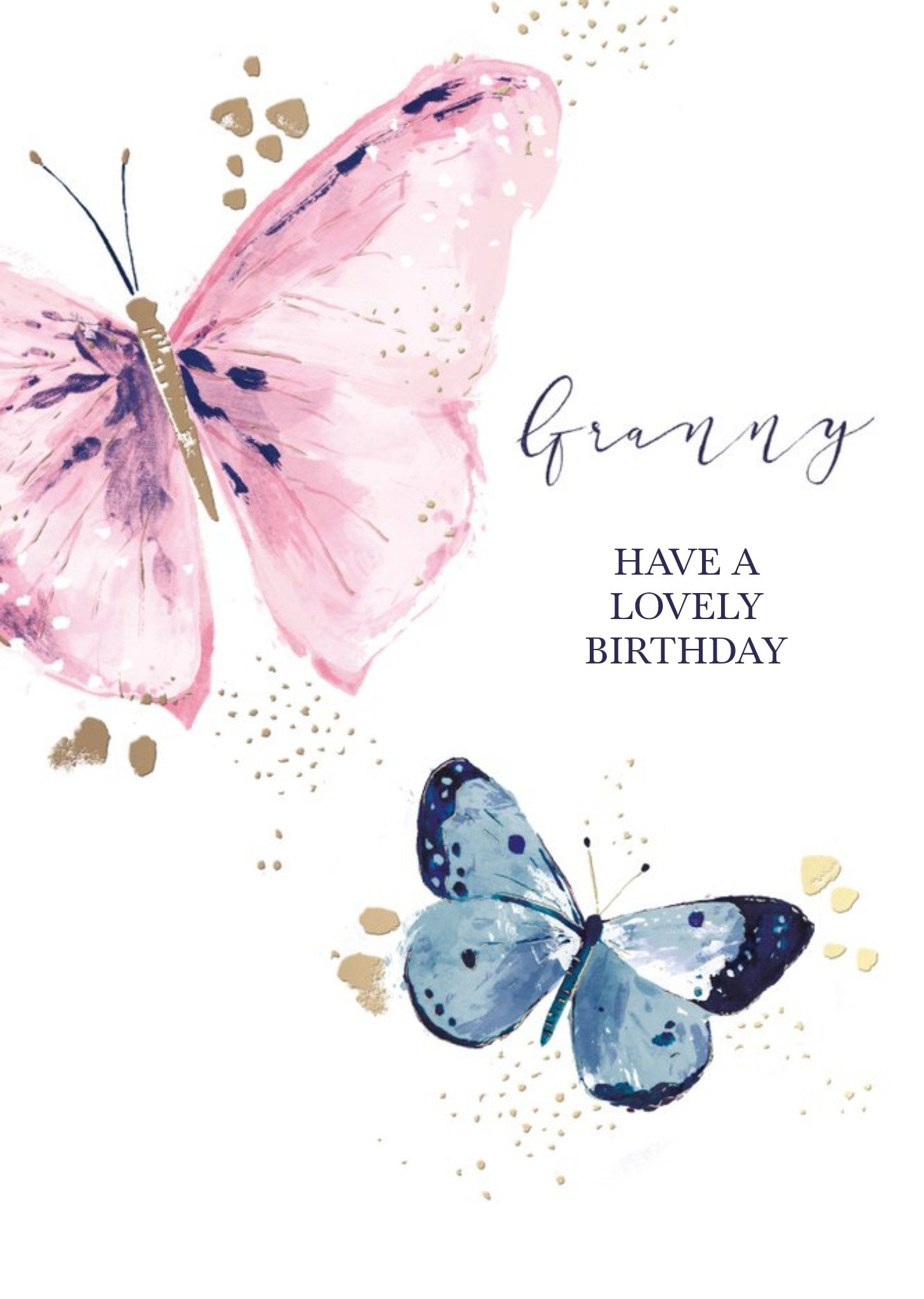 Hotchpotch Pink And Blue Illustrated Watercolour Butterflies Granny Birthday Card Ecard