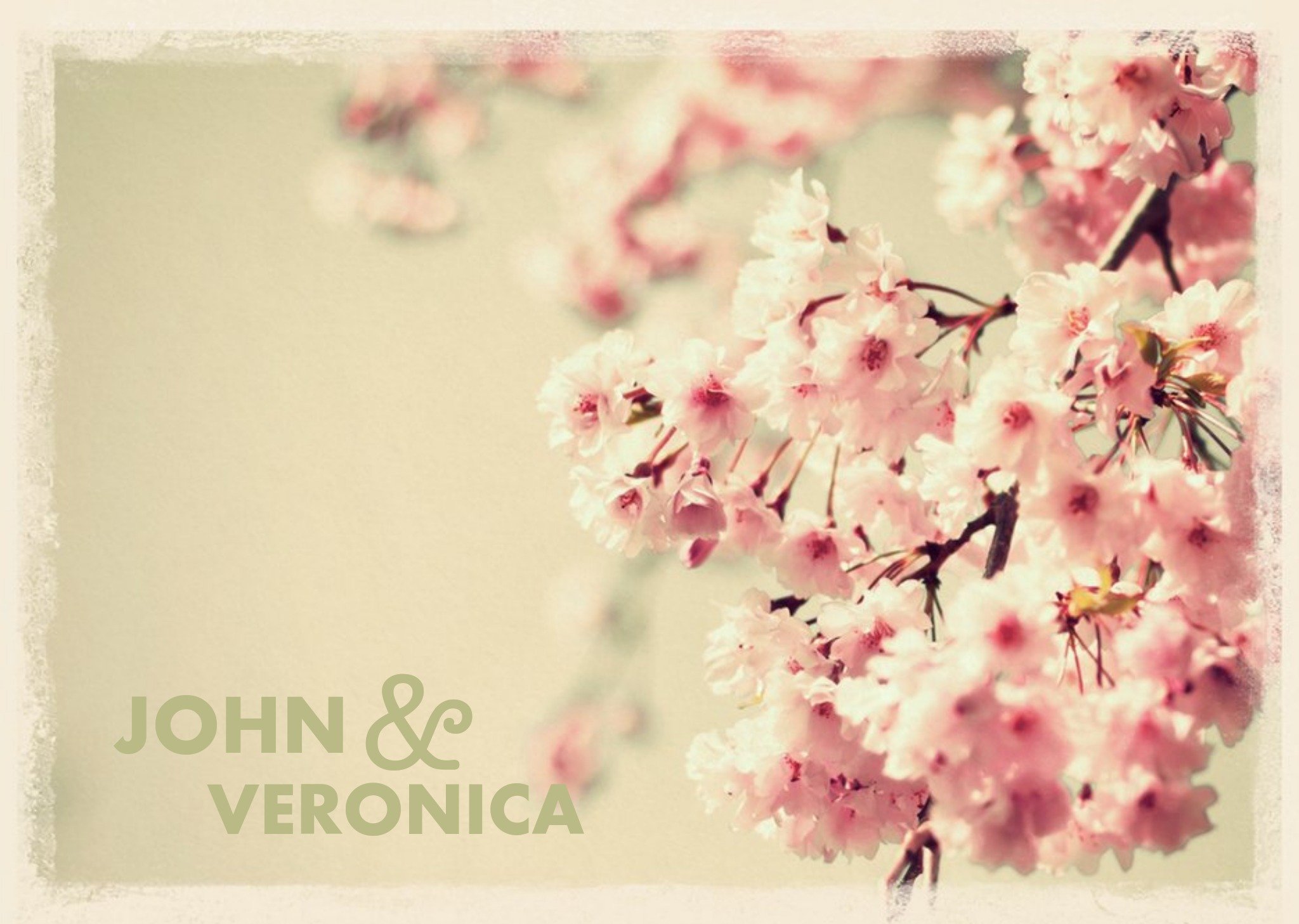 Pink Cherry Blossoms Wedding Invitation Ecard