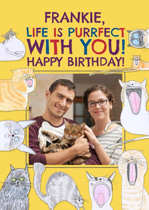 Quirky Illustrations Of Cats Photo Upload Birthday Card