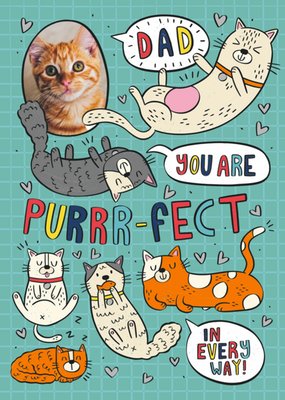 Cute Illustrations Cats Dad You Are Purrrfect In Every Way Fathers Day Card