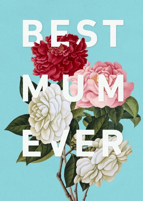 Bright Teal Best Mum Ever Mother's Day Card