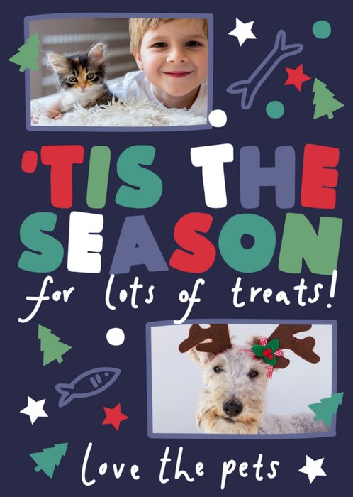 Tis The Season For Lots Of Pet Treats Photo Upload Christmas Card