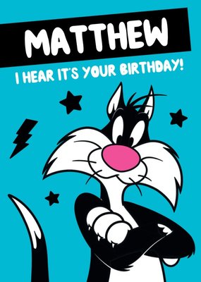 Looney Tunes Sylvester Personalised Birthday Card