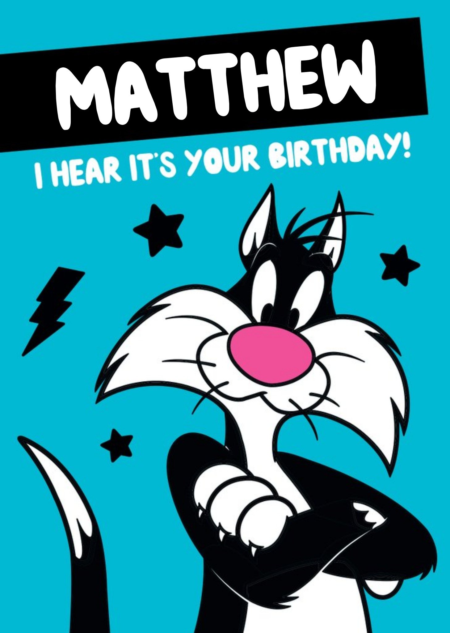 Moonpig Looney Tunes Sylvester Personalised Birthday Card, Large