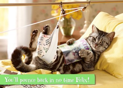 Get Well Card - You'll pounce back in no time