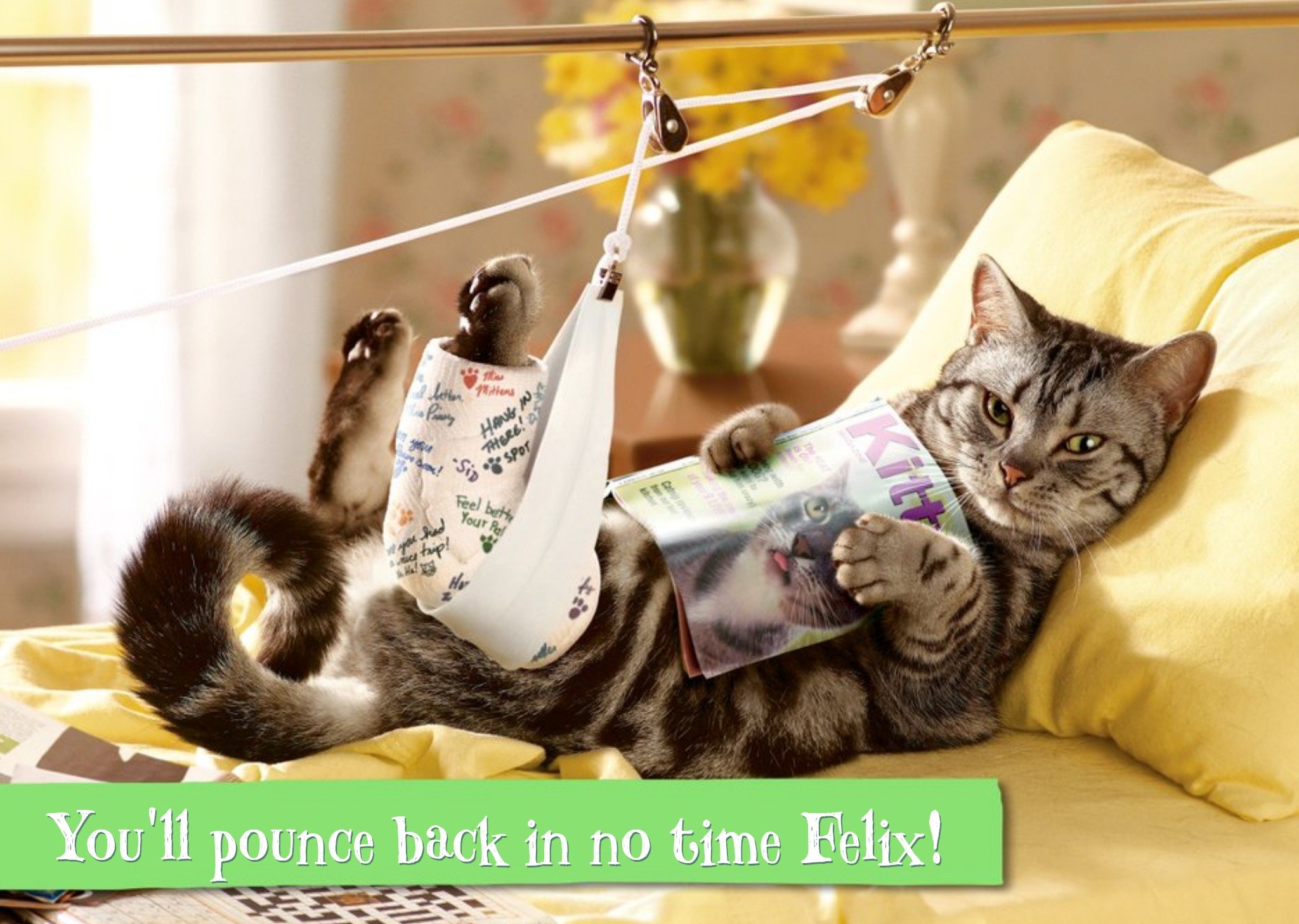 Get Well Card - You'll Pounce Back In No Time Ecard