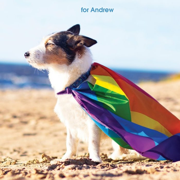 Photograph of a Dog Wearing a Rainbow Flag Card