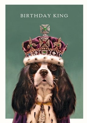 Painting Of A Cavalier King Charles Spaniel Birthday King Card
