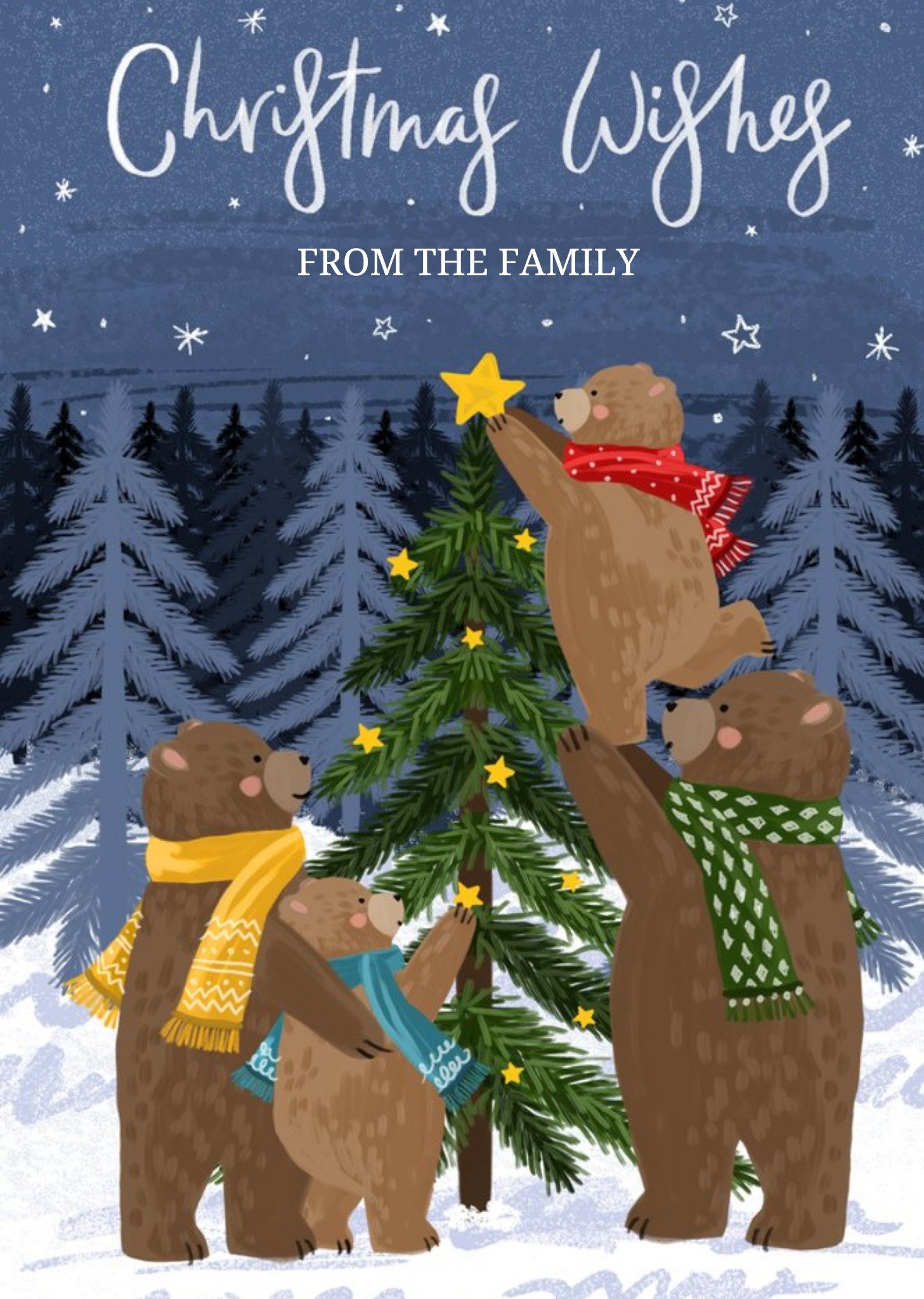 Okey Dokey Design Christmas Wishes From The Family Bear Card