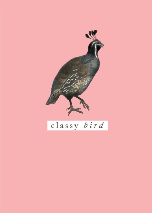 Bright Peach Classy Bird Card