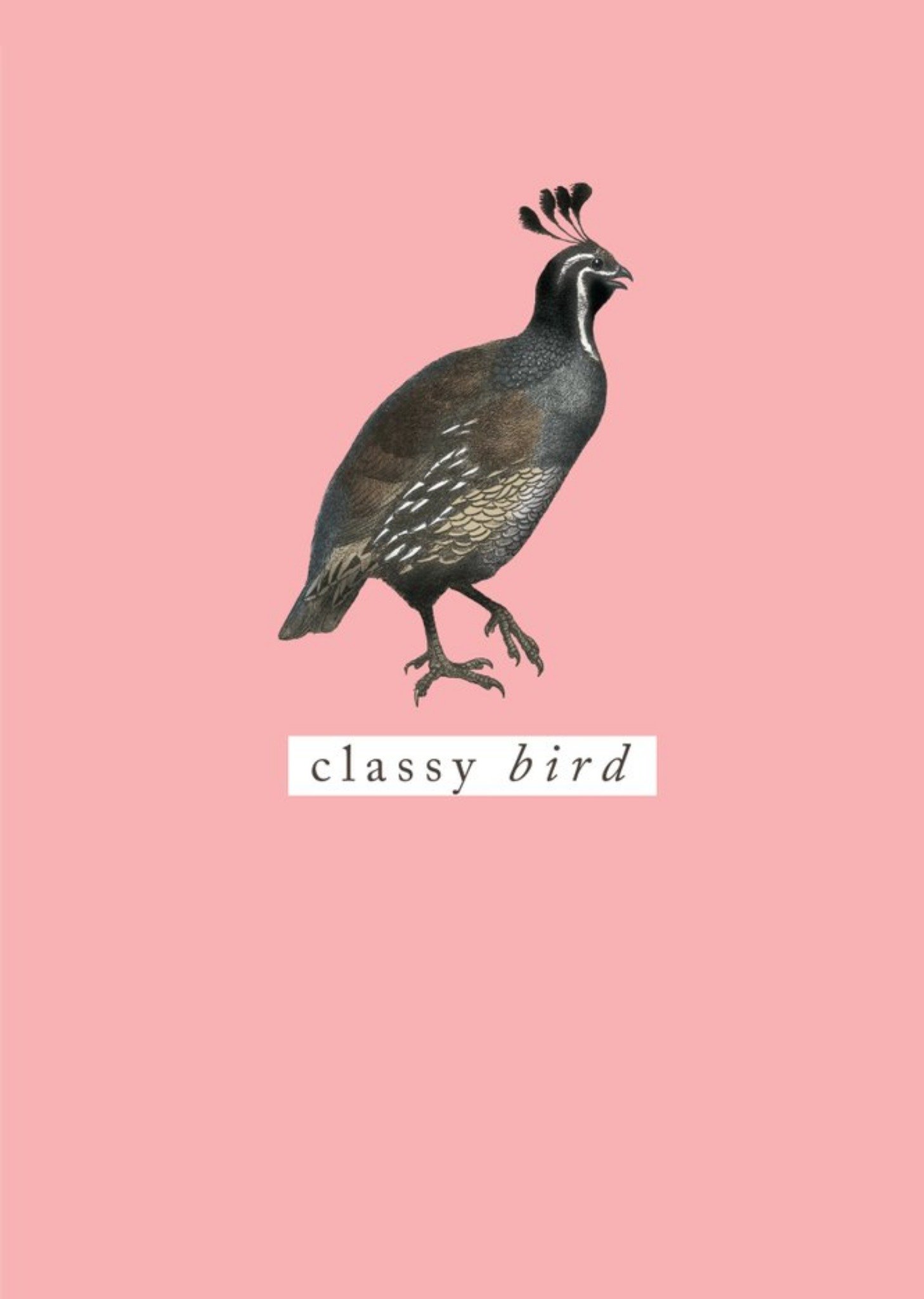 Moonpig Bright Peach Classy Bird Card, Large
