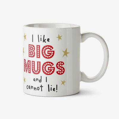 Funny I Like Big Mugs And I Cannot Lie Mug
