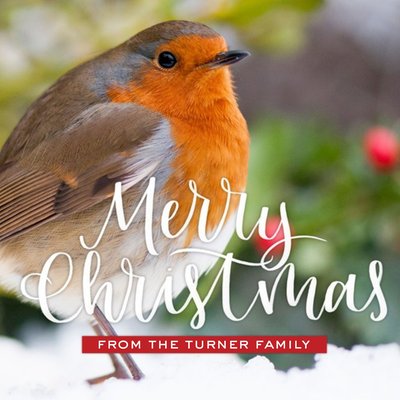 Wintry Robin On Branch Personalised Christmas Card