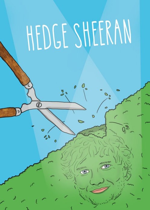 Hedge Sheeran Ed Pun Card