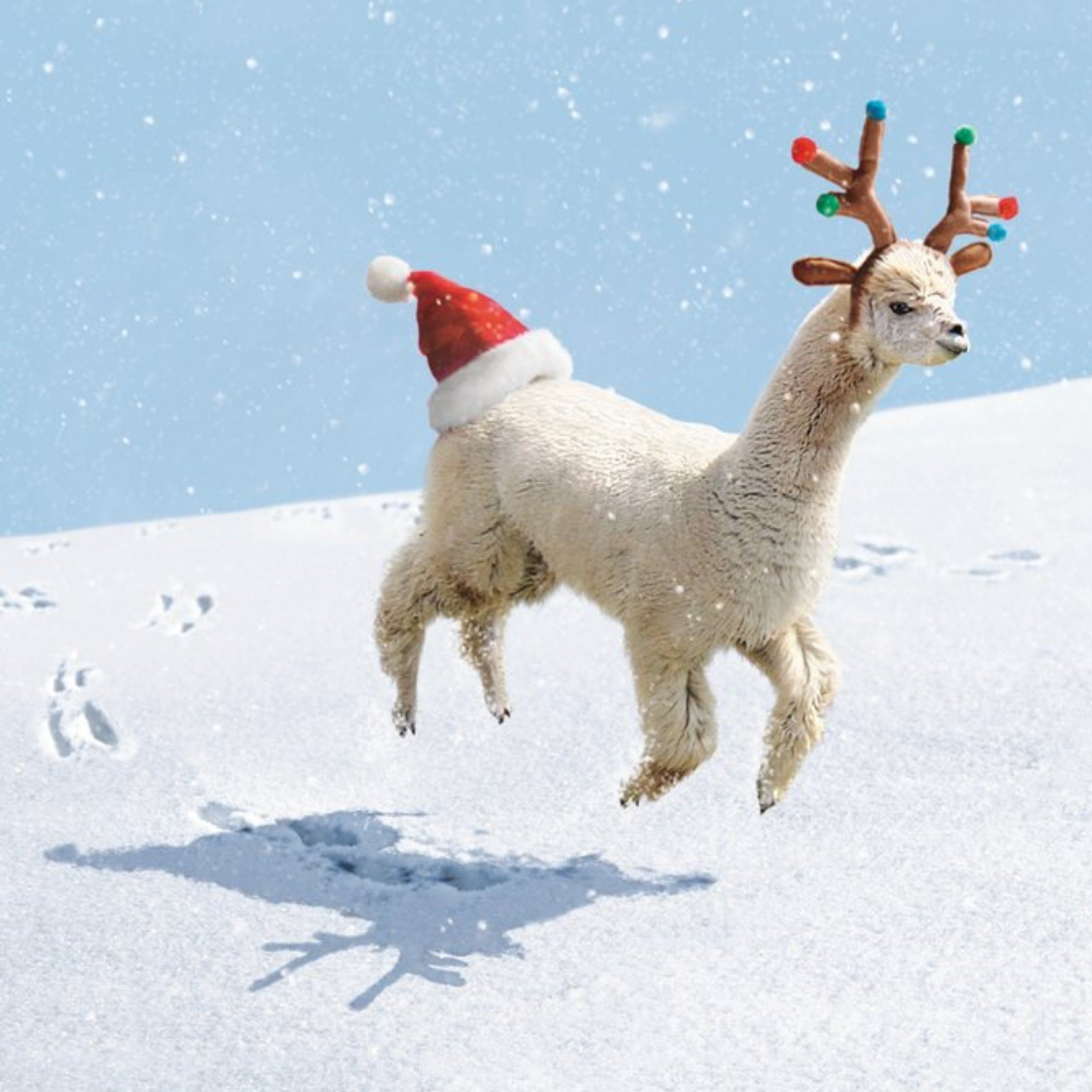 Moonpig Jolly Llama Christmas Card, Square