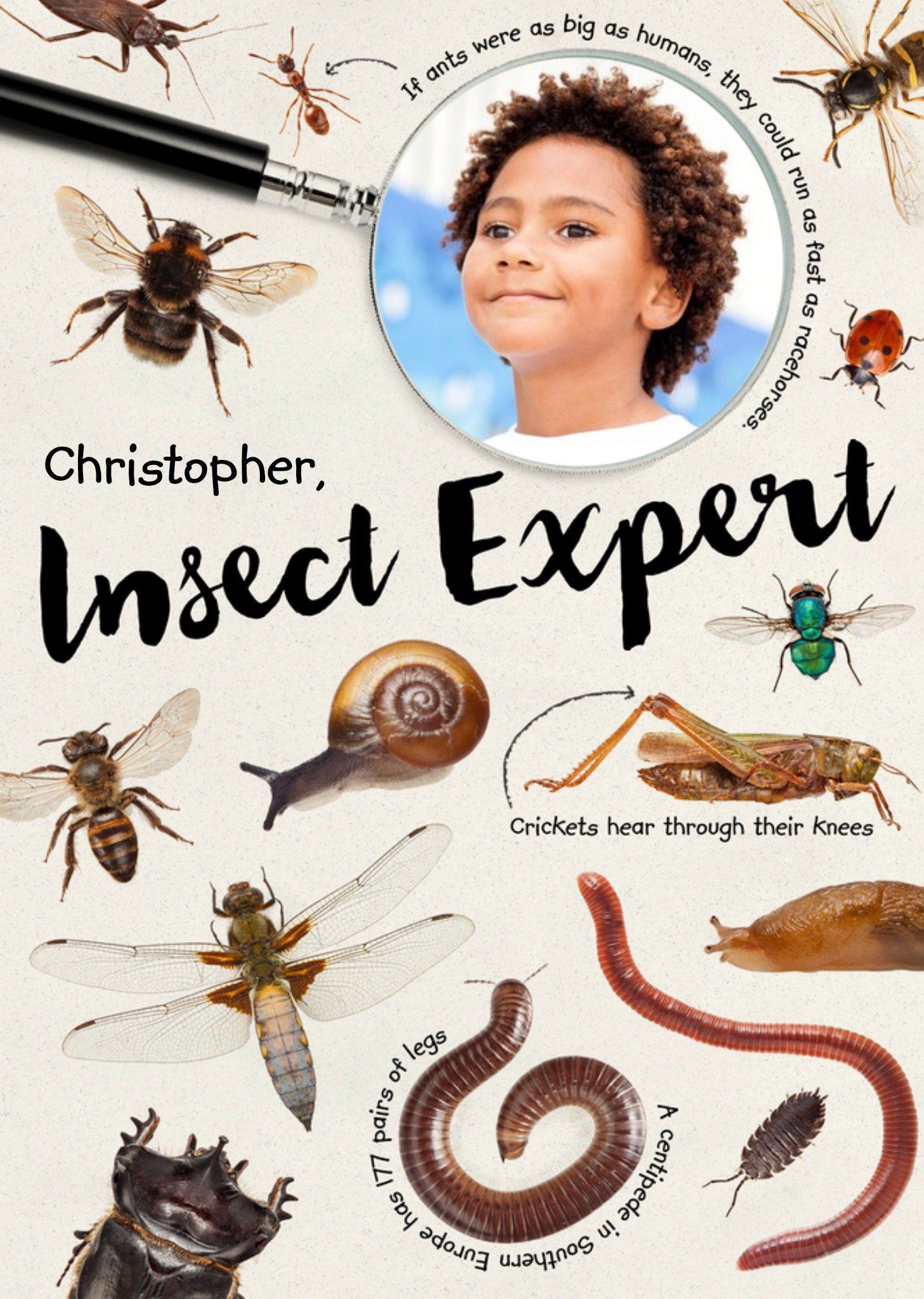 The Natural History Museum Insect Expert Photo Upload Card, Large