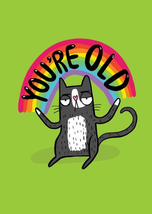 You are Old Funny Rainbow Cat Birthday Card