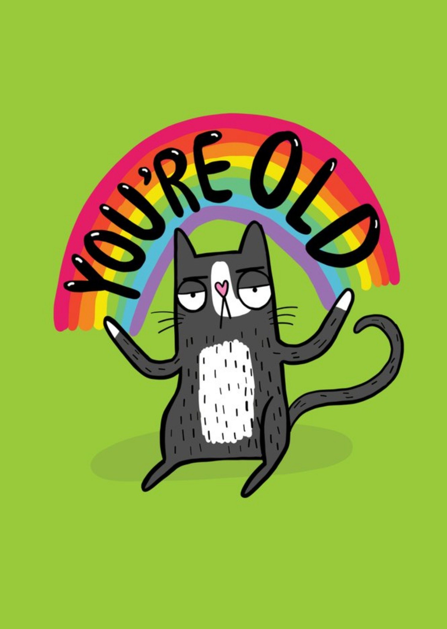 Moonpig You Are Old Funny Rainbow Cat Birthday Card, Large