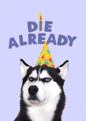 Jolly Awesome Die Already Funny Birthday Dog Card