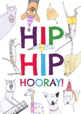 Funny Pet Illustrations Hip Hip Hooray Congratulations Card