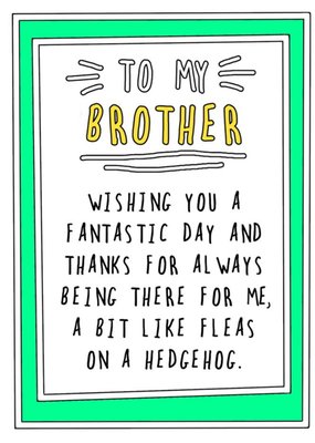 Funny Cheeky To My Brother Wishing You A Fantastic Day Birthday Card