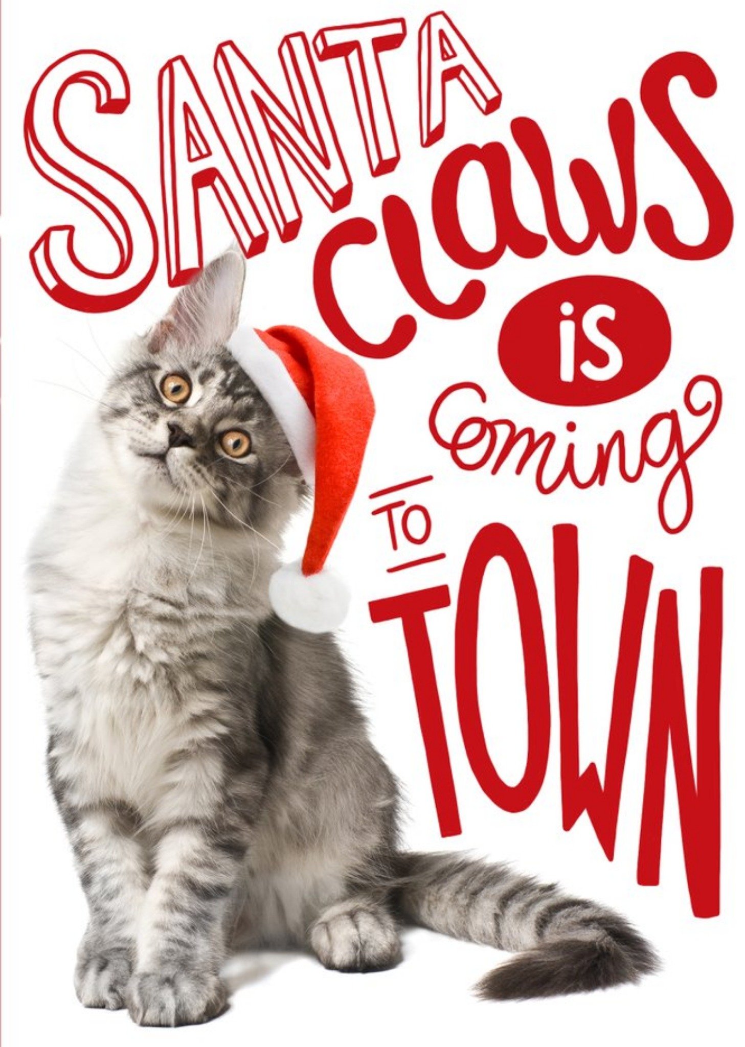 Santa Claws Is Coming Christmas Greetings Card Ecard