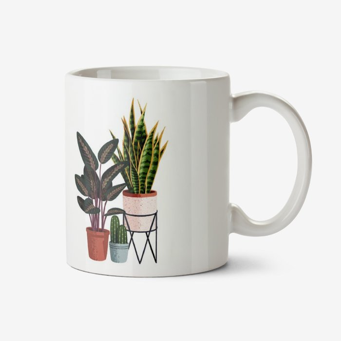 Folio Two duplicate illustrations of a three different house plants Mug