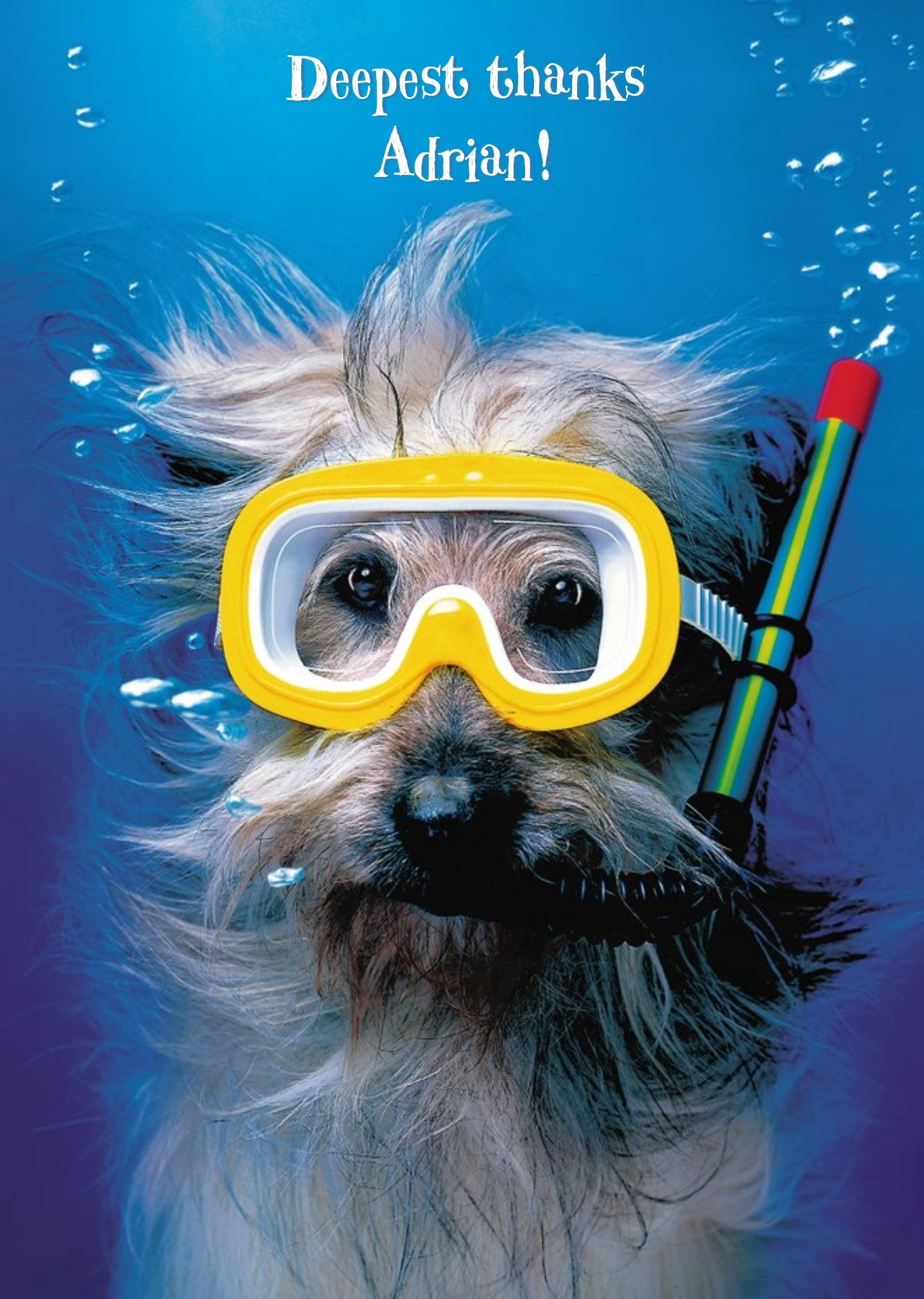 Birthday Card - Scuba Dog - Deepest Thanks Ecard