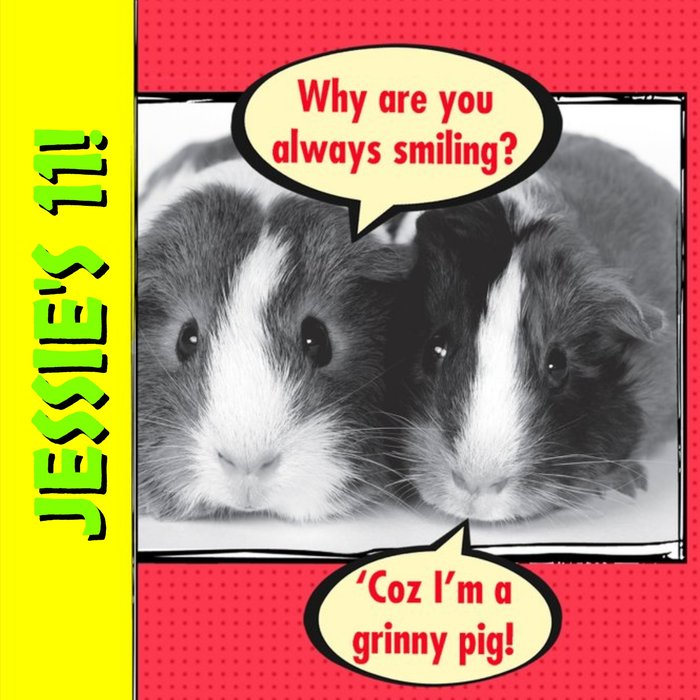 Guinea Pig Funny Personalised Happy 11th Birthday Card