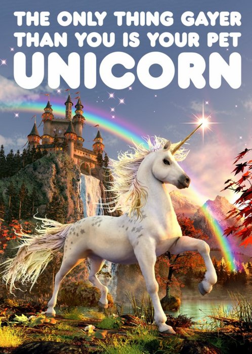 Dean Morris The Only Thing Gayer Than You Is Your Pet Unicorn Birthday Card