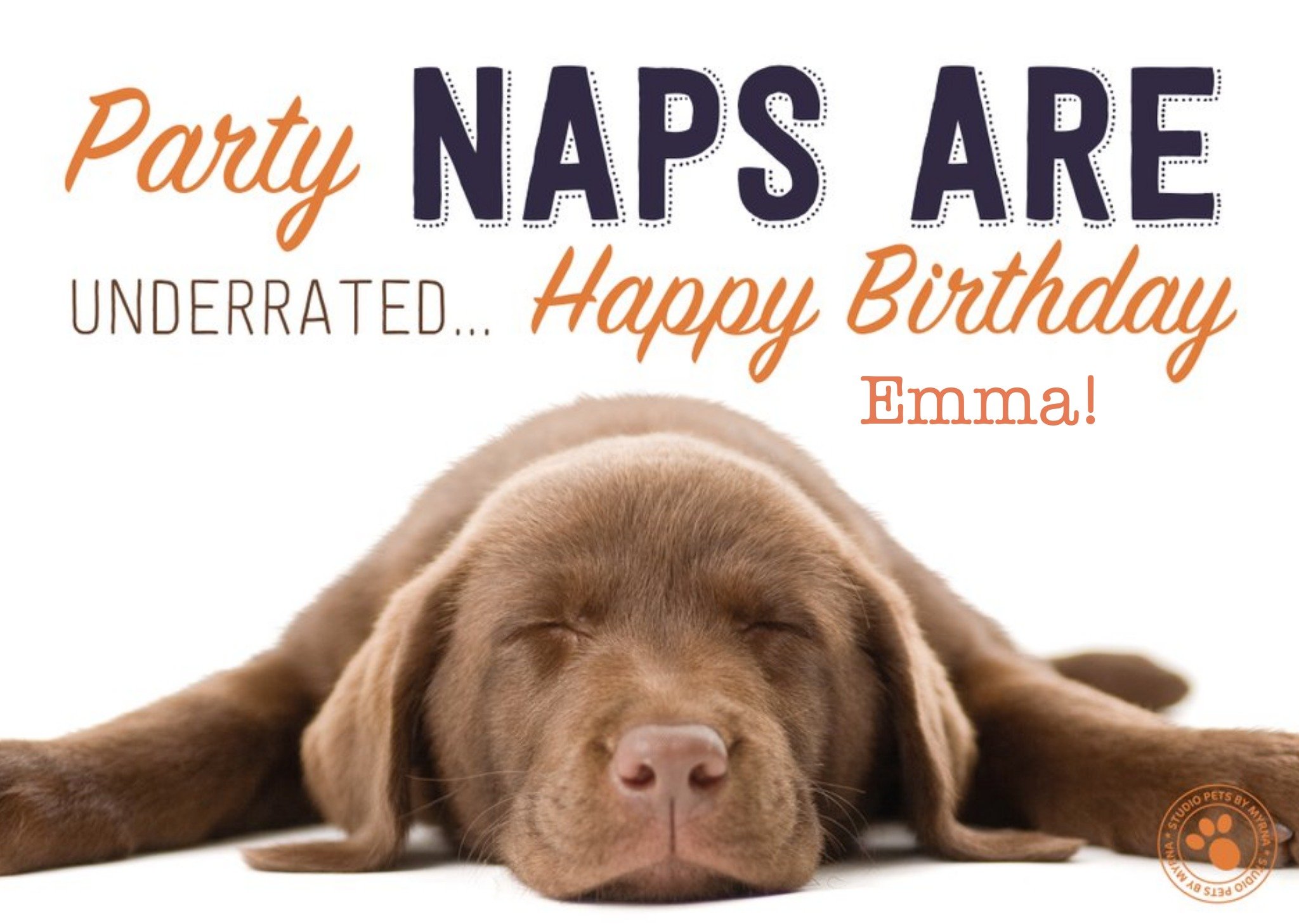 Studio Pets Happy Birthday Party Naps Are Underrated Card, Large