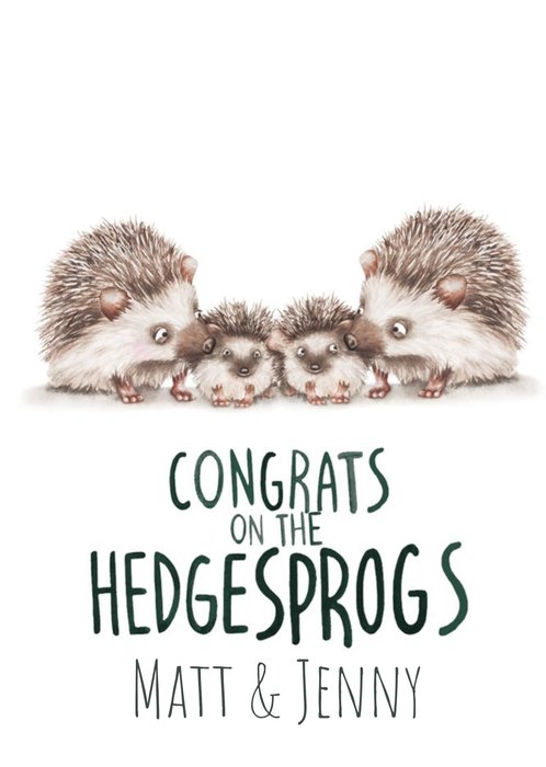 Cute Illustrated Family of Hedgehogs Congratulations Card