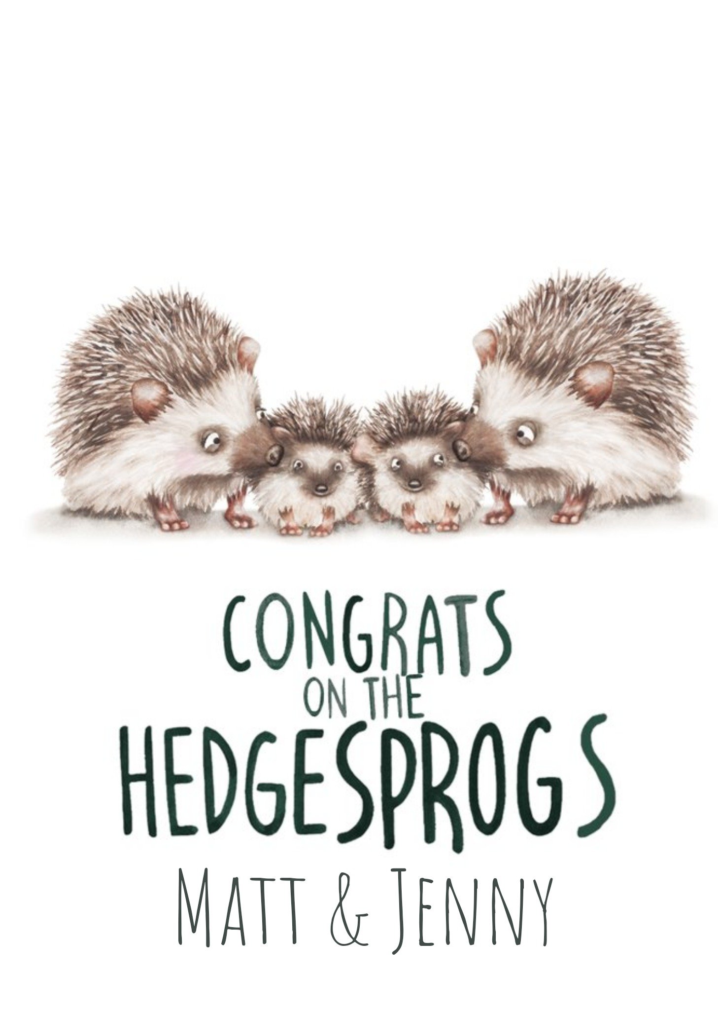 Cute Illustrated Family Of Hedgehogs Congratulations Card