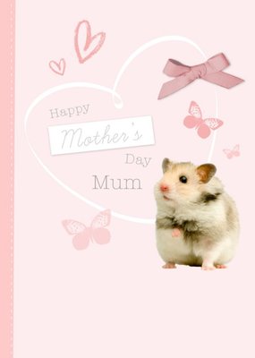 Animal Planet Happy Mother's Day Mum Hamster Card
