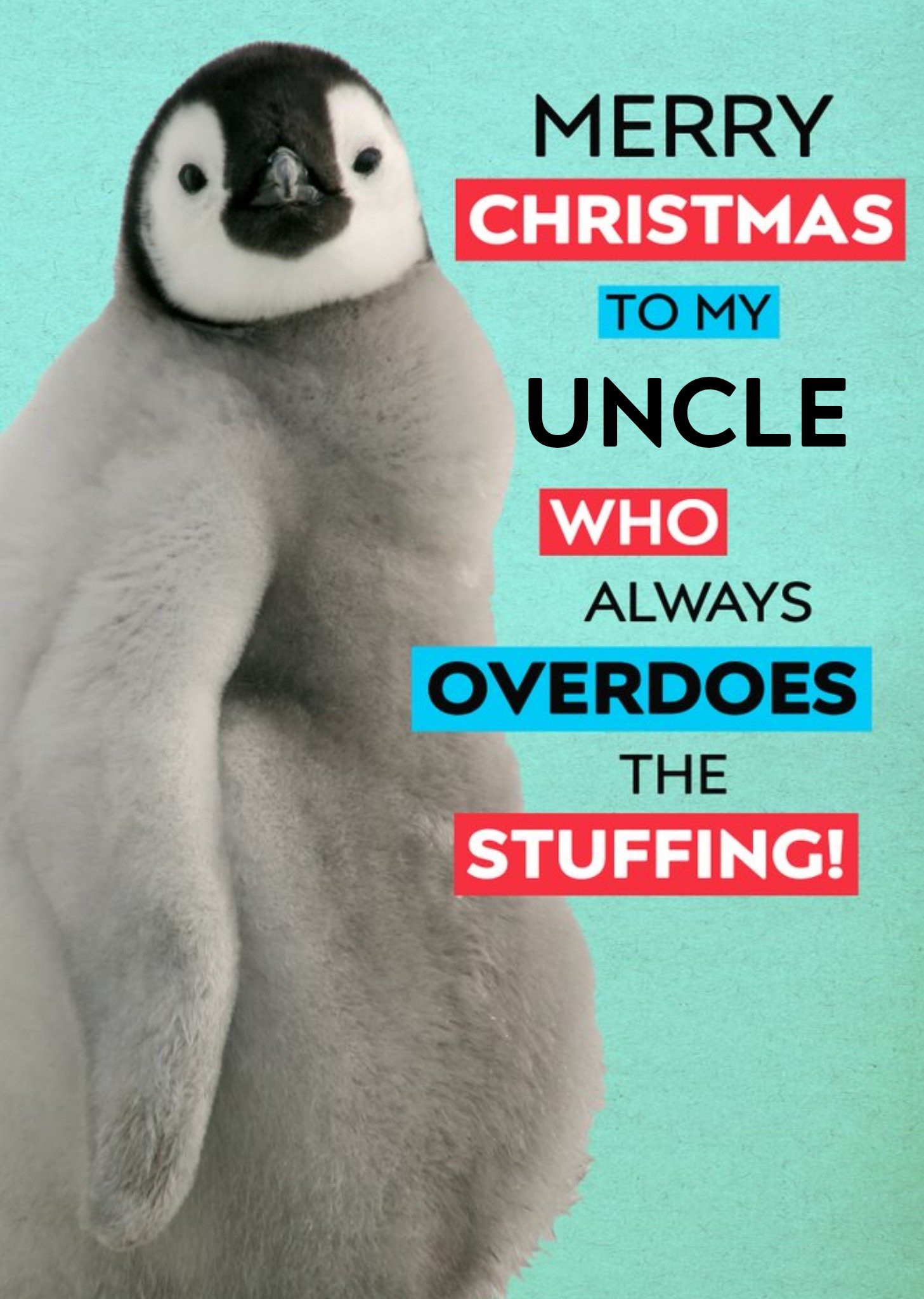 Moonpig Stuffed Penguin Personalised Christmas Card Ecard