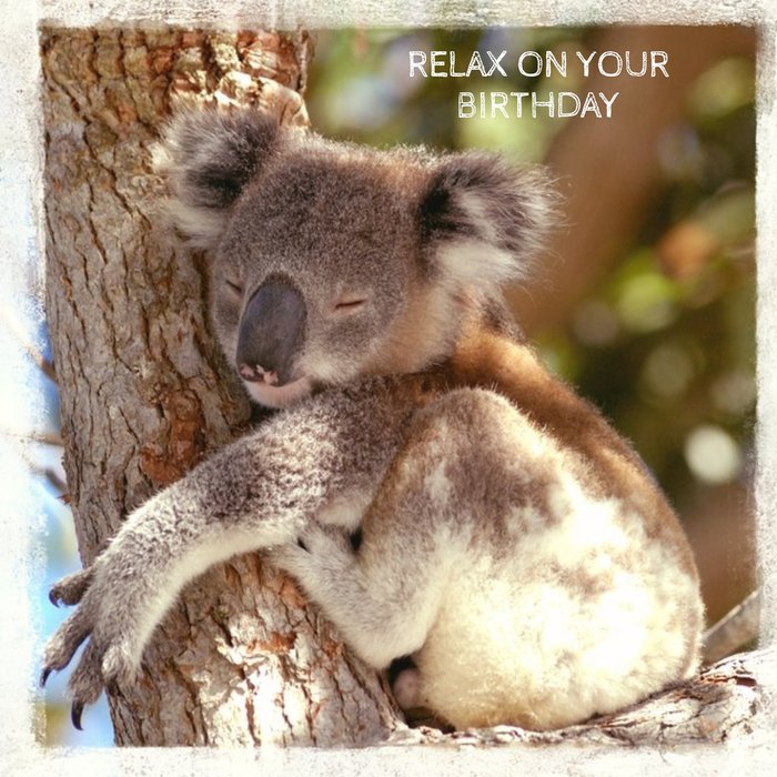 Relax On Your Birthday Koala Personalised Happy Birthday Card