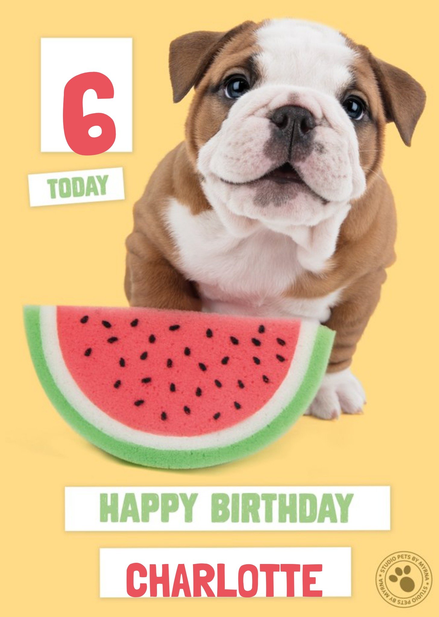 Studio Pets Birthday Card Bulldog Puppy Card, Large