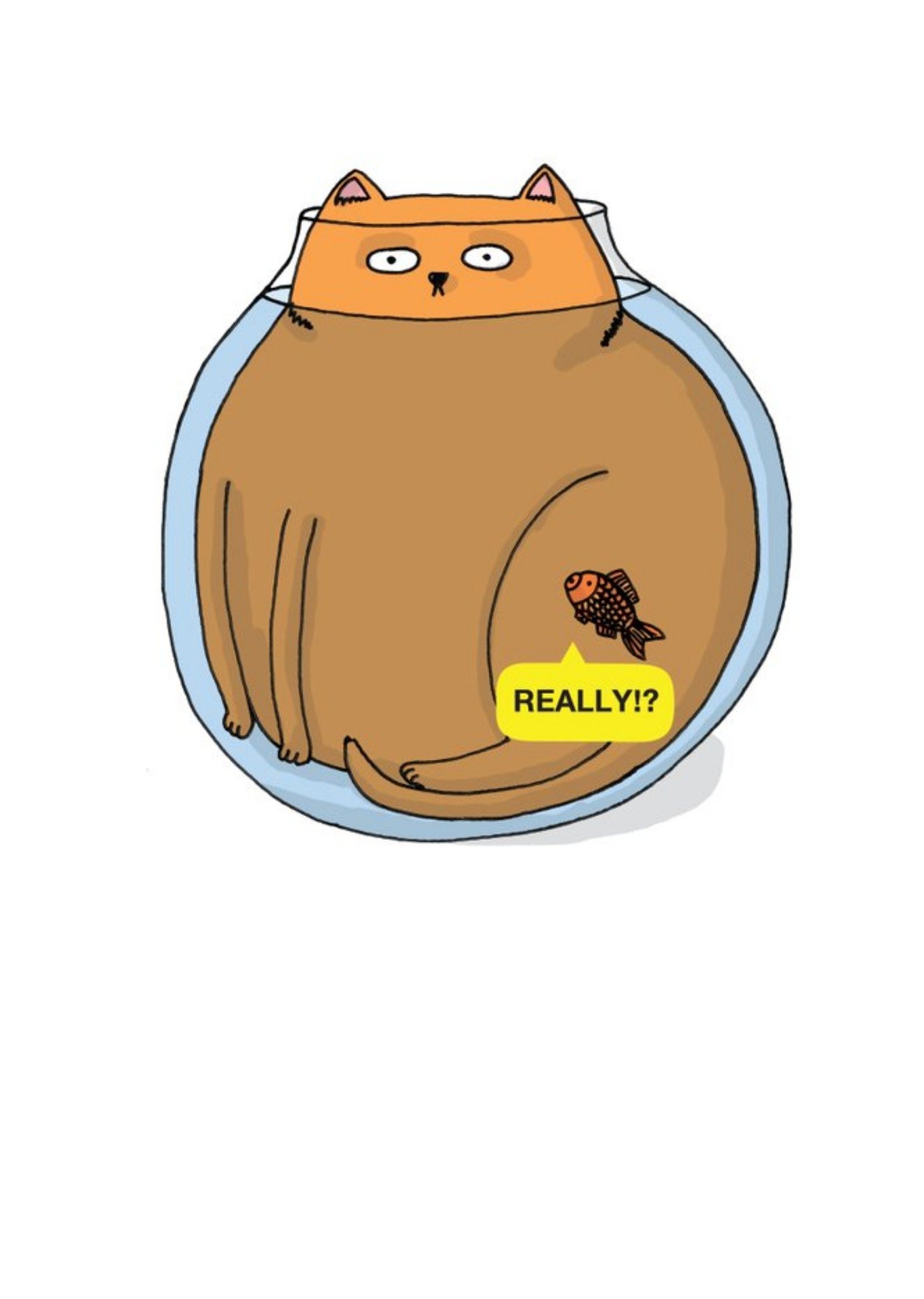 Cat In A Fishbowl Funny Personalised Greetings Card Ecard