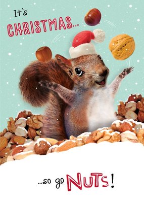 Photographic Image Of A Squirrel Surrounded By Nuts Funny Pun Christmas Card