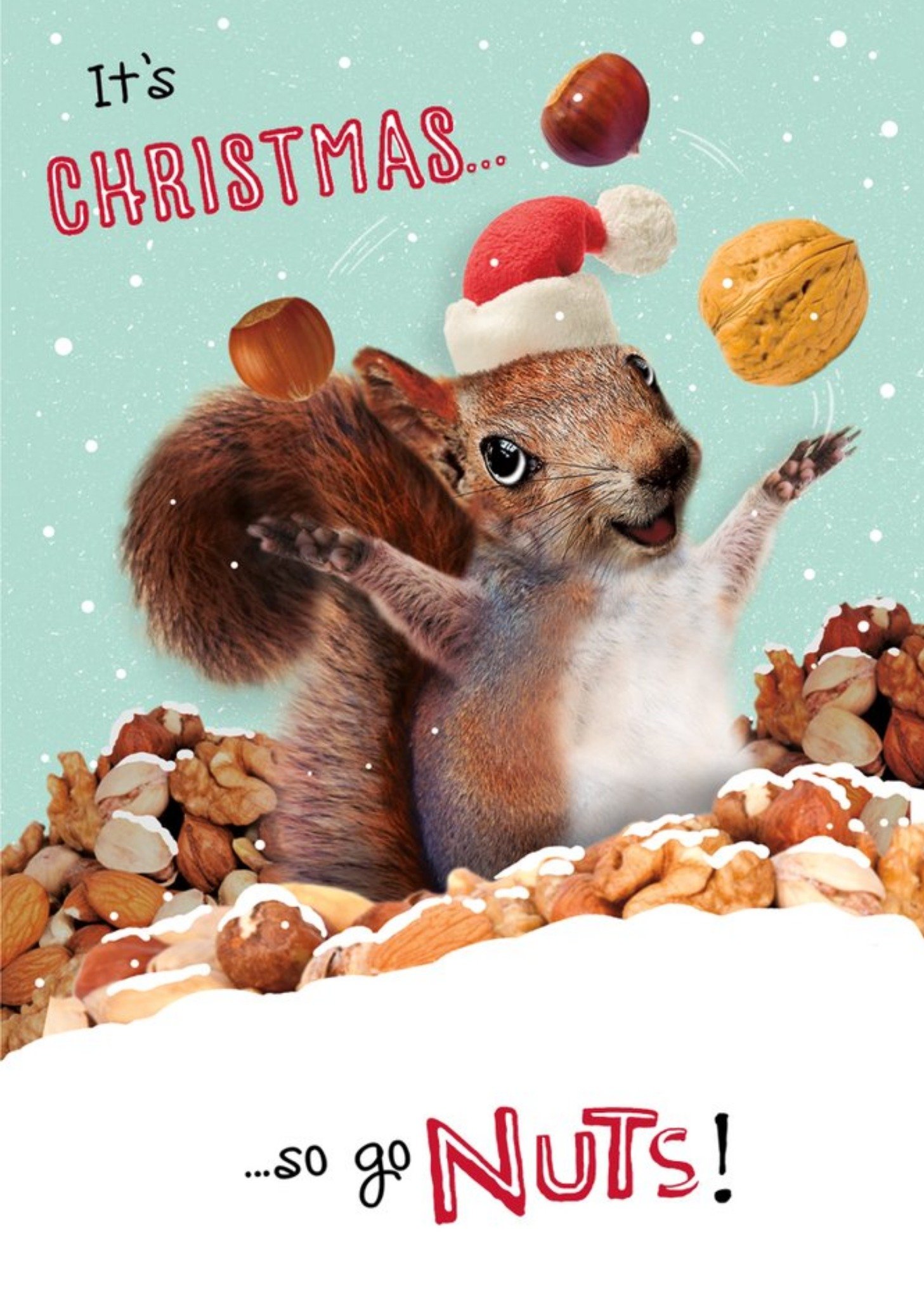 Photographic Image Of A Squirrel Surrounded By Nuts Funny Pun Christmas Card Ecard