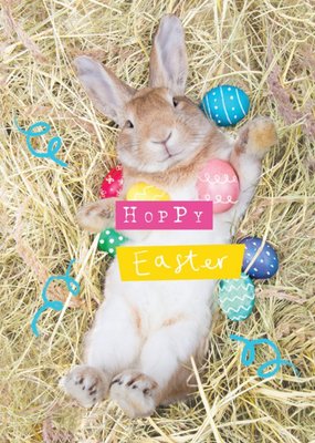 Clintons Cute Photographic Pun Easter Bunny Card