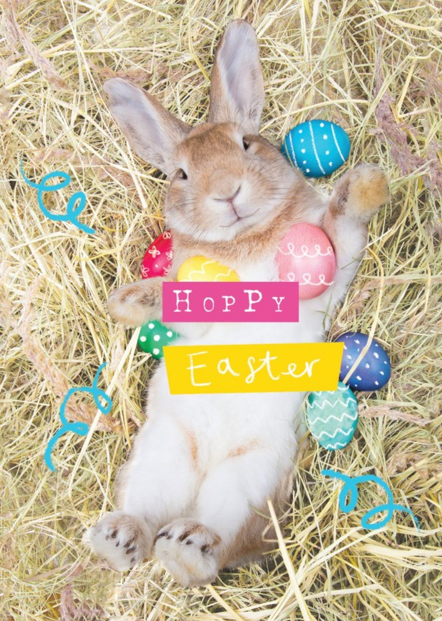 Clintons Cute Photographic Pun Easter Bunny Card Ecard